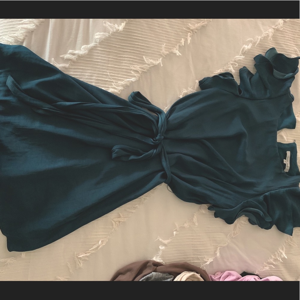 Naked Zebra Teal Silk dress